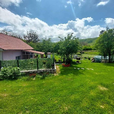 Village Flower Ivy Montenegro Niksic Luaran gambar