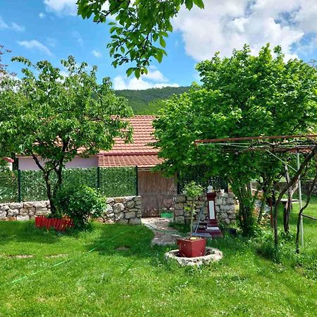 Village Flower Ivy Montenegro Niksic Luaran gambar
