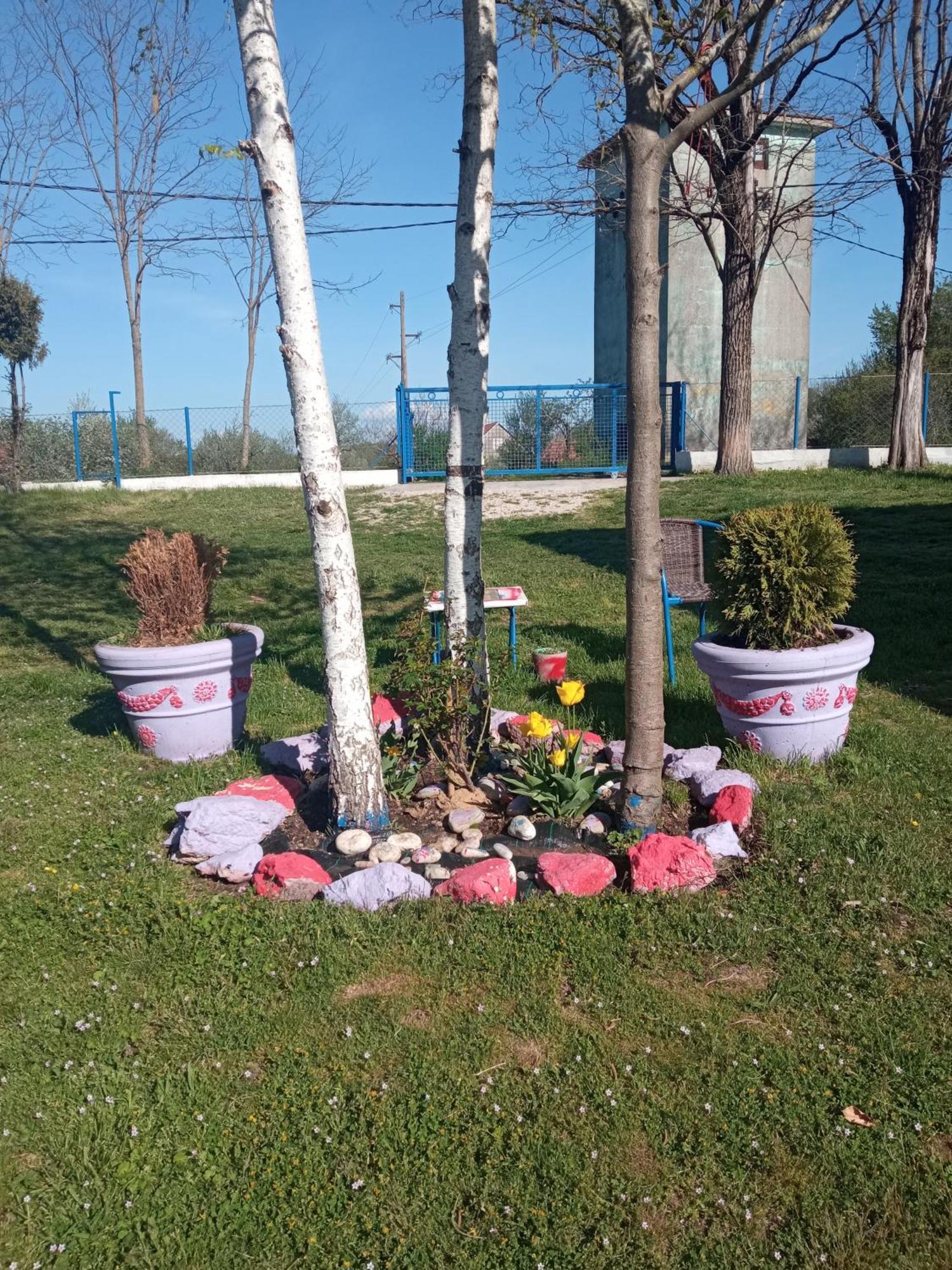 Village Flower Ivy Montenegro Niksic Bilik gambar