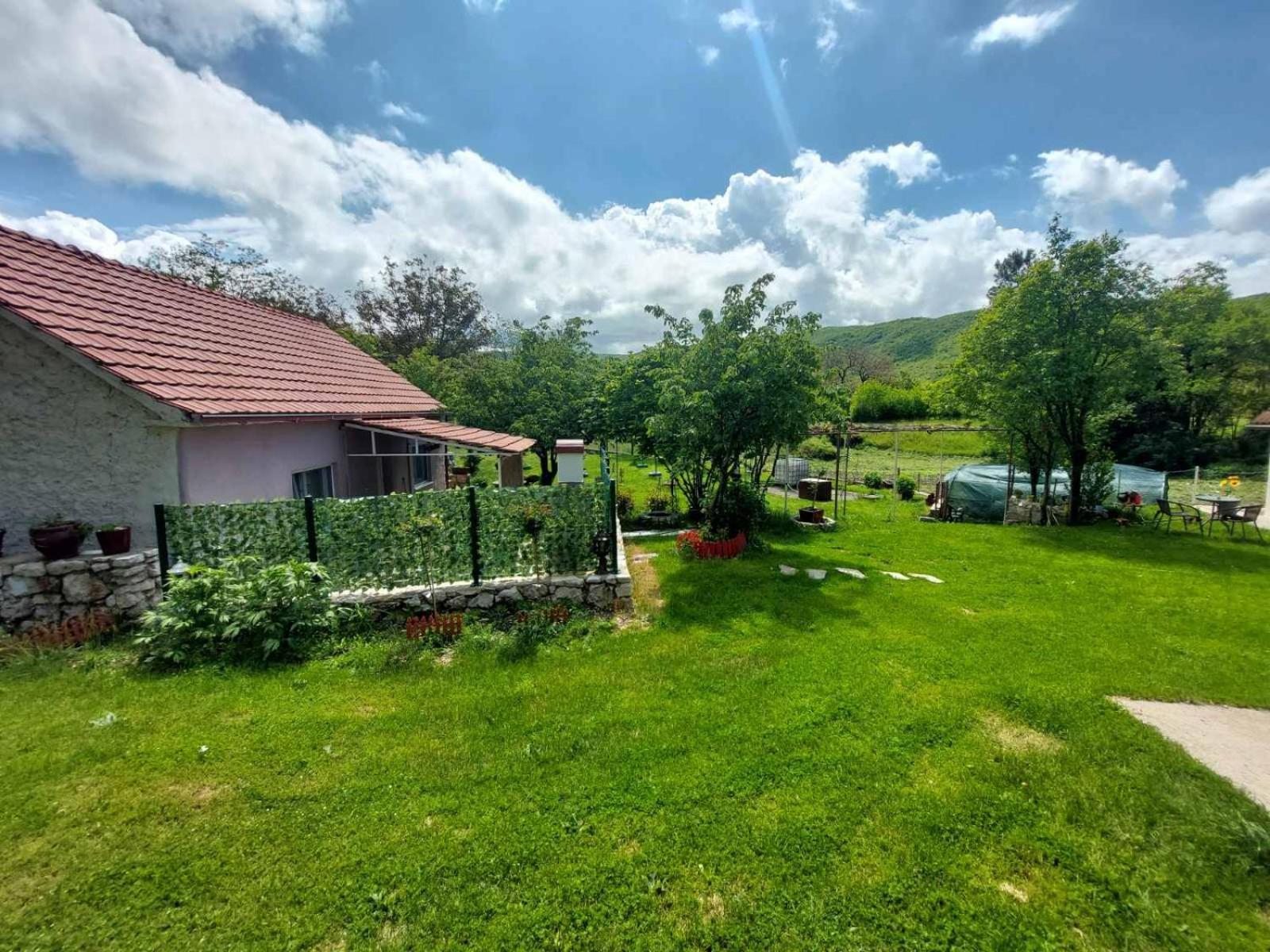 Village Flower Ivy Montenegro Niksic Luaran gambar