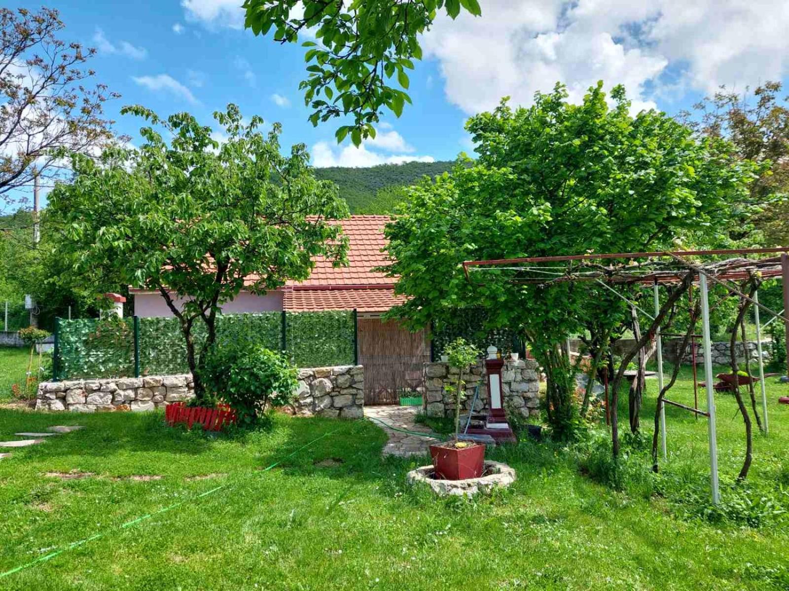Village Flower Ivy Montenegro Niksic Luaran gambar