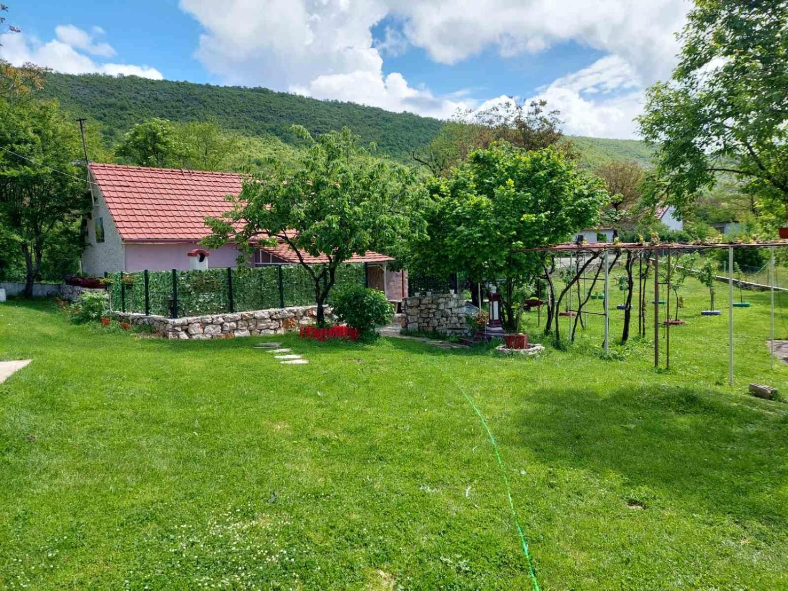 Village Flower Ivy Montenegro Niksic Luaran gambar